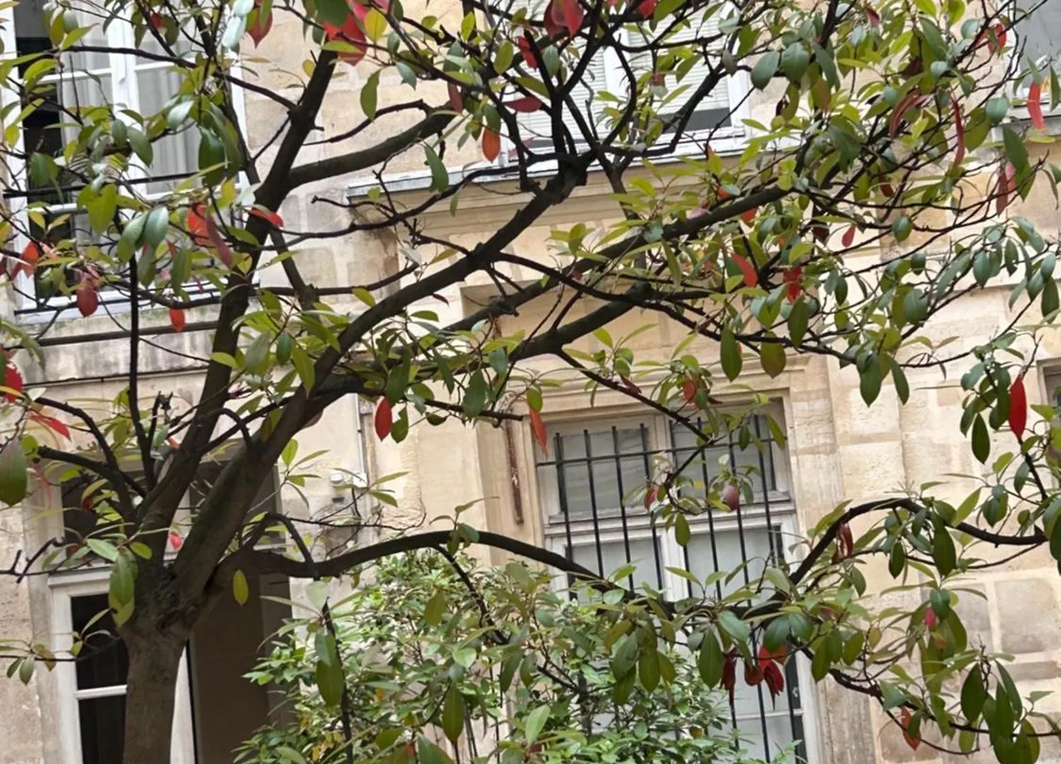 Rose Apartment Paris